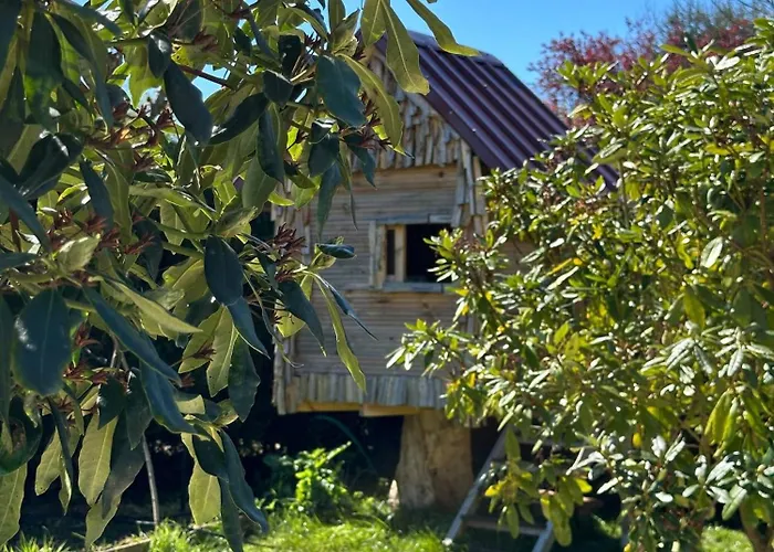 Wedge 7 à 9 Couchages Dieppe